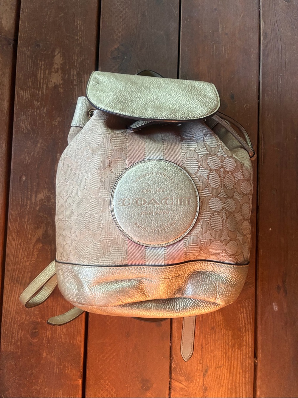 Coach Dempsey Backpack Metallic - Picture 2 of 12